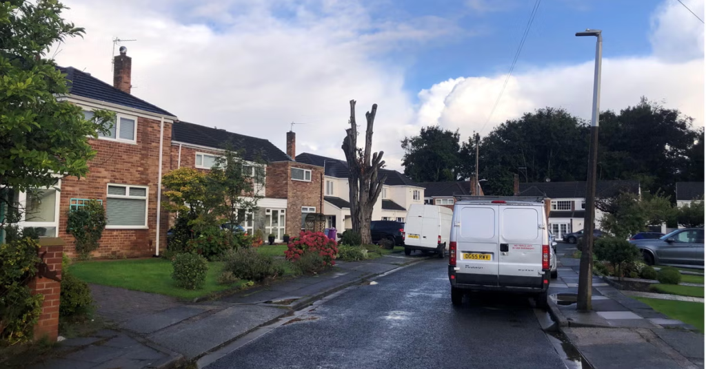 Man fined for cutting down tree in his garden