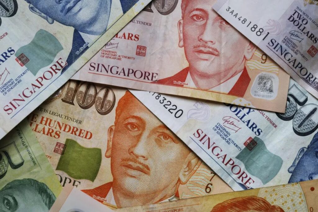 Singaporean Seniors' Financial Boost 2025: Eligibility, Payment Dates & Essential Info