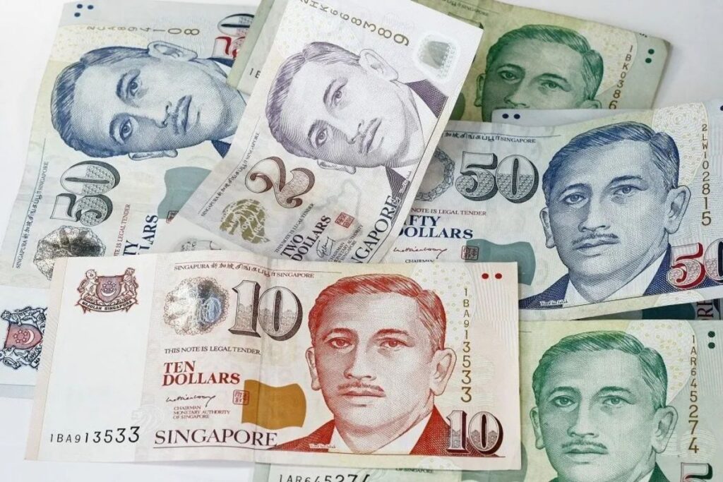 Singaporean Seniors' Financial Boost 2025: Eligibility, Payment Dates & Essential Info