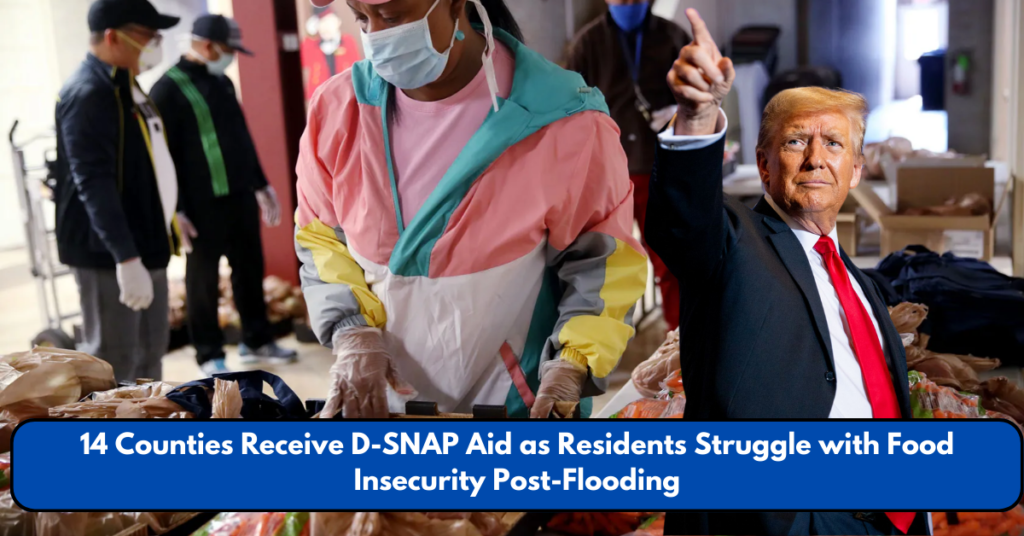 14 Counties Receive D-SNAP Aid as Residents Struggle with Food Insecurity Post-Flooding